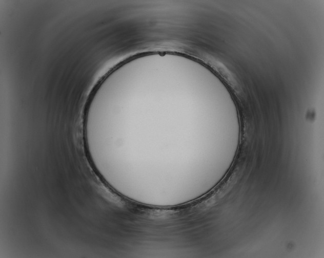 X0000102001184200808081653