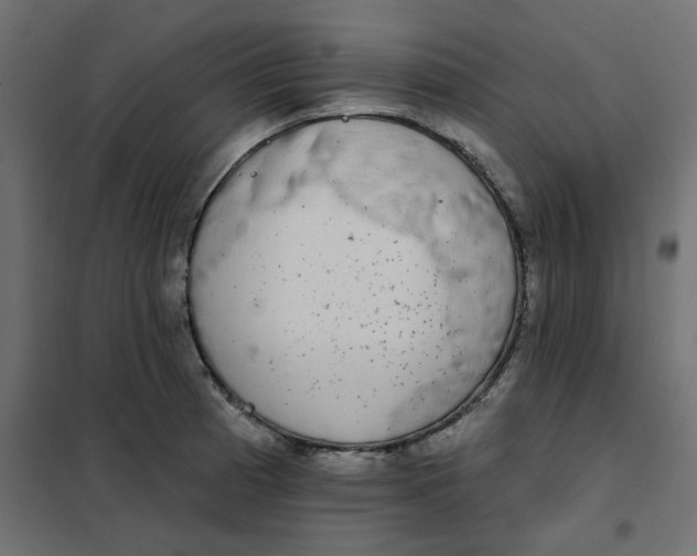 X0000102001185200808081653