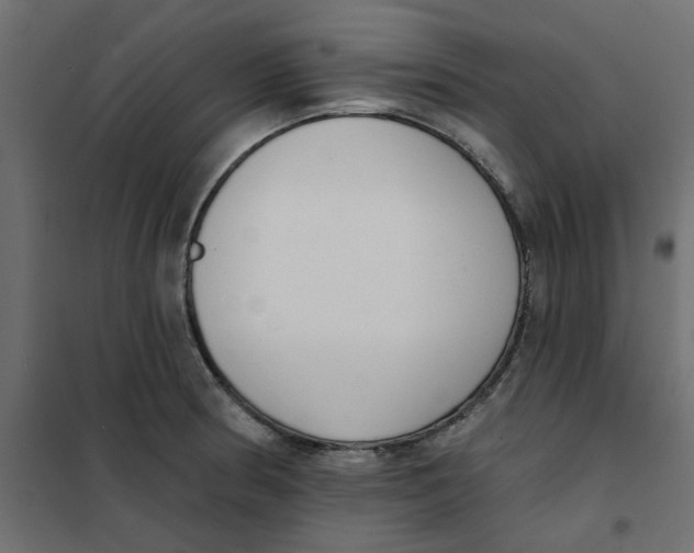 X0000102001186200808081653