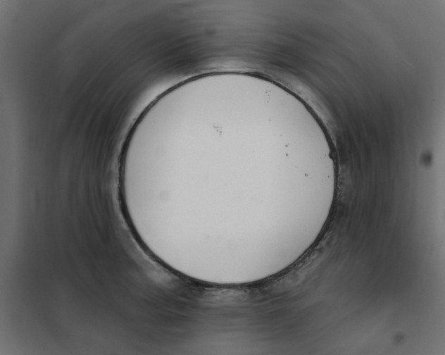 X0000102001187200808081653