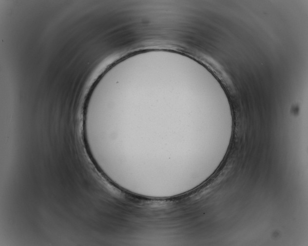 X0000102001188200808081653