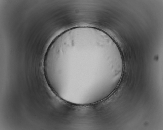 X0000102001189200808081653