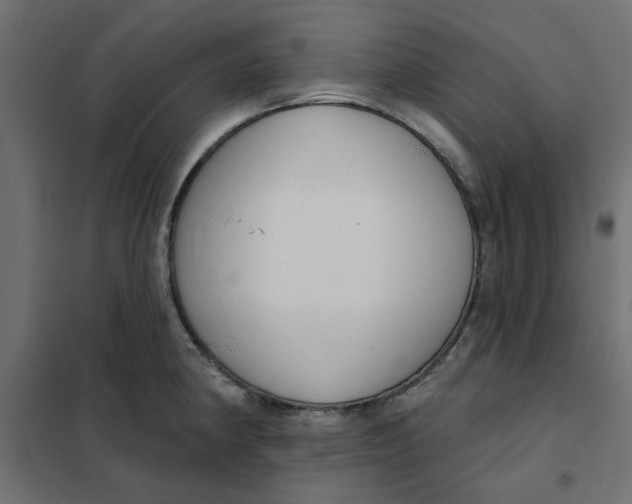 X0000102001190200808081653