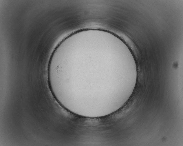 X0000102001191200808081653