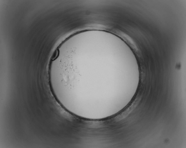 X0000102001192200808081653