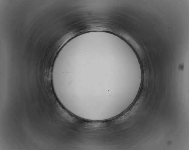 X0000102001193200808081653