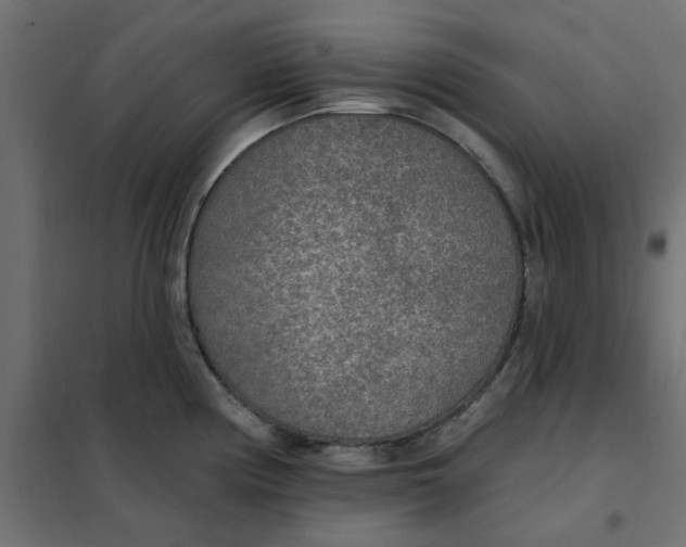 X0000102001194200808081653