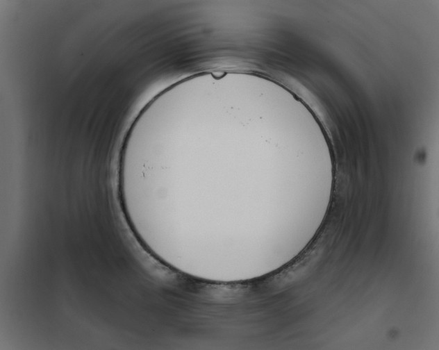 X0000102001195200808081653