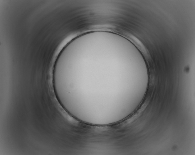 X0000102001196200808081653