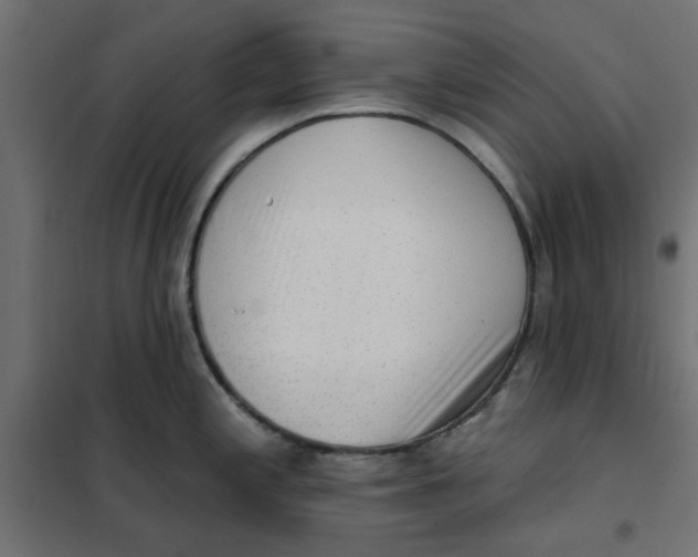 X0000102001197200808081653