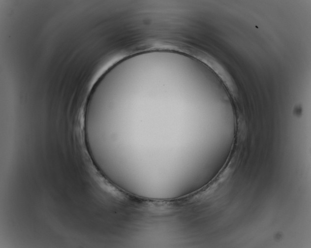 X0000102001198200808081653