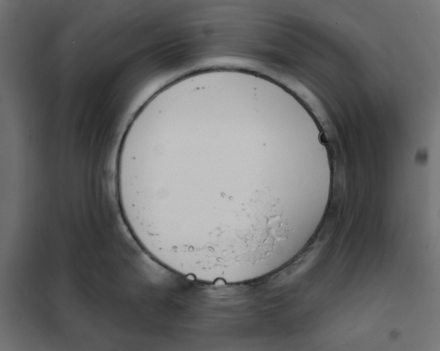 X0000102001199200808081652