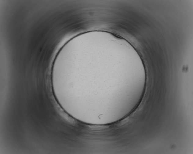 X0000102001200200808081652