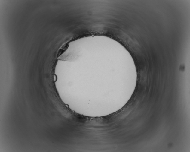 X0000102001201200808081652