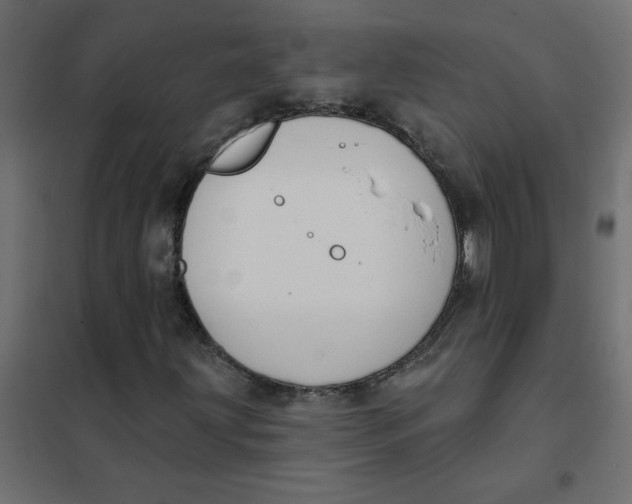 X0000102001203200808081652