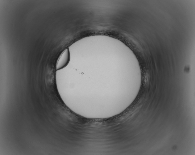 X0000102001204200808081652