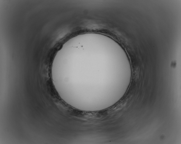 X0000102001205200808081652