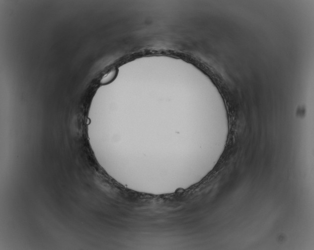 X0000102001207200808081652