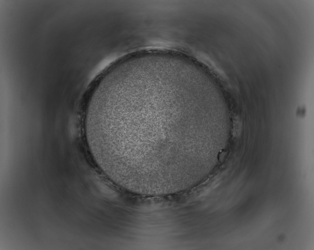 X0000102001208200808081652