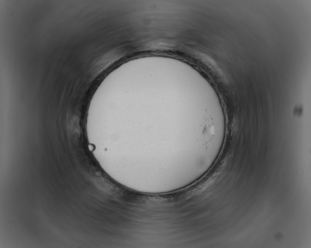 X0000102001209200808081652