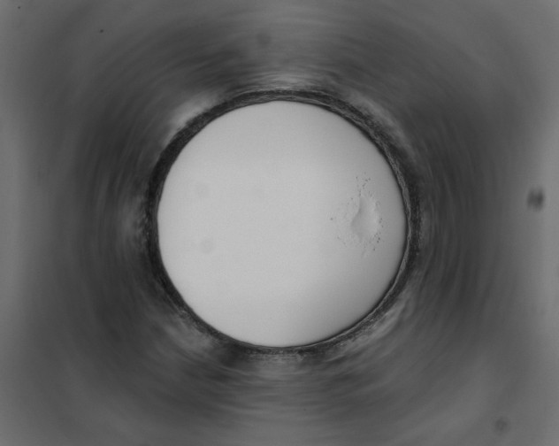 X0000102001210200808081652