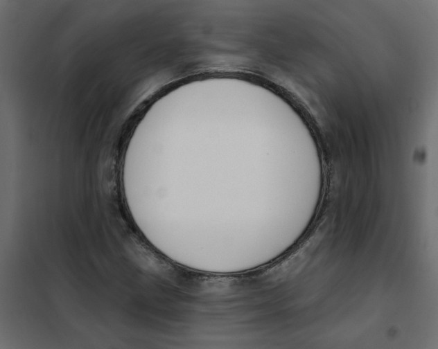 X0000102001211200808081652