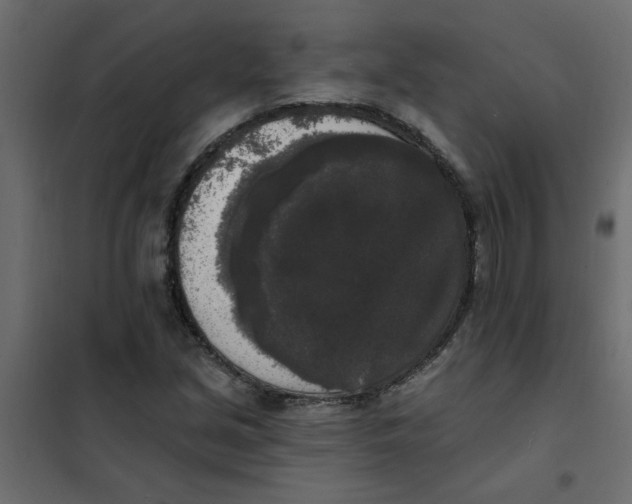 X0000102001213200808081652