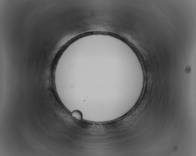 X0000102001215200808081652