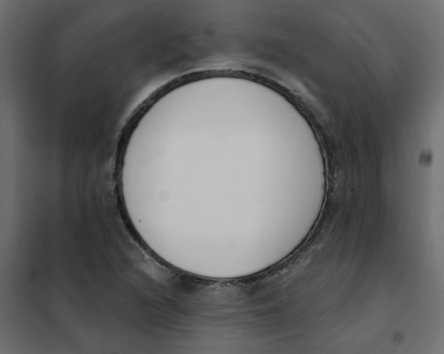 X0000102001216200808081652