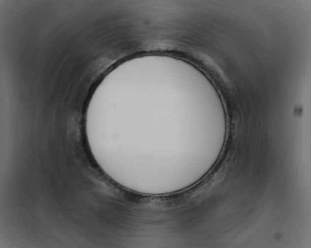 X0000102001217200808081652