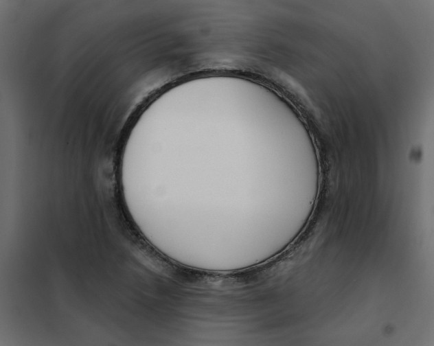 X0000102001218200808081652