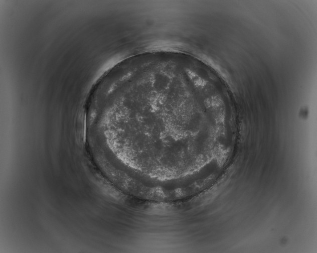 X0000102001219200808081652