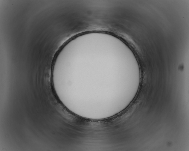 X0000102001220200808081652