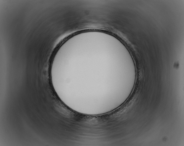 X0000102001222200808081652