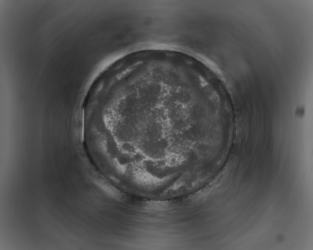 X0000102001223200808081652