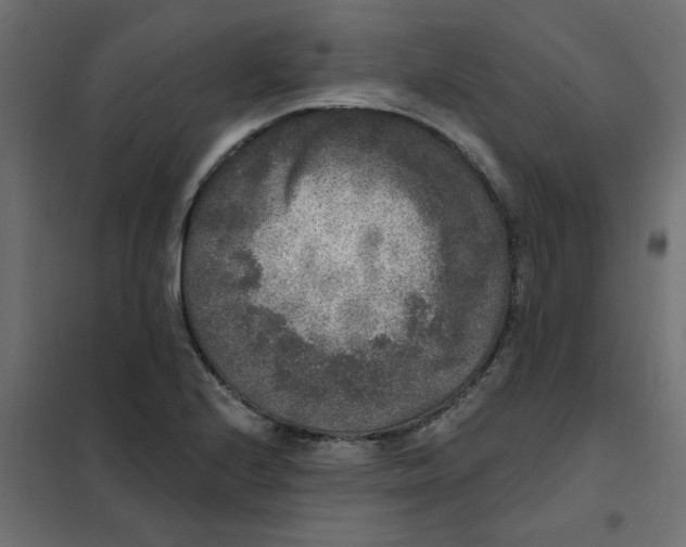 X0000102001224200808081652