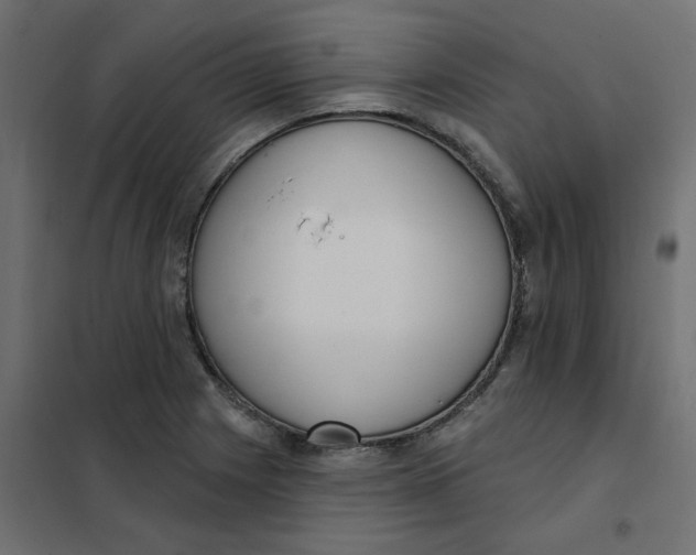 X0000102001225200808081652