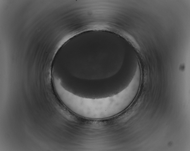 X0000102001226200808081652