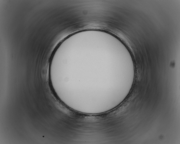 X0000102001227200808081652