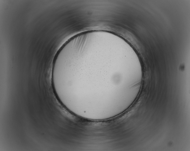 X0000102001228200808081652