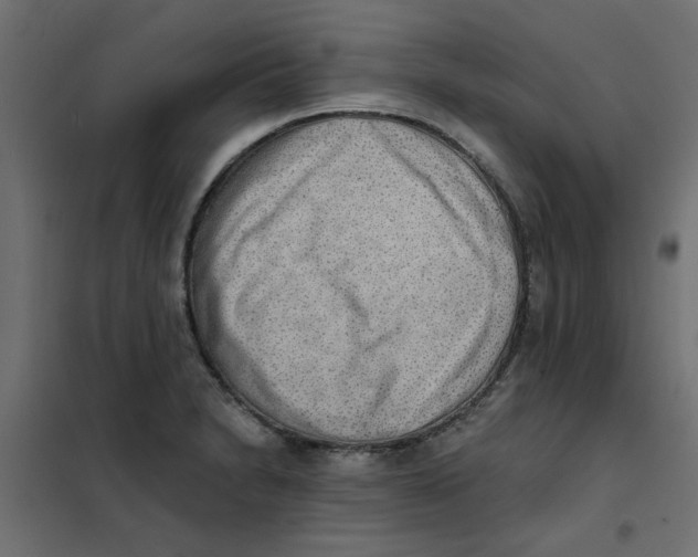 X0000102001230200808081652