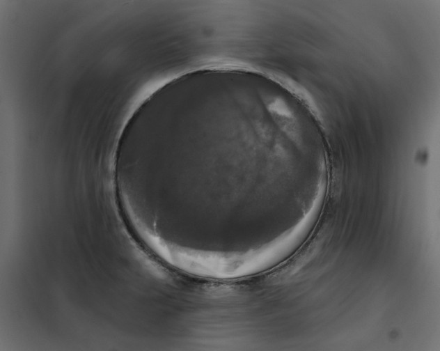 X0000102001231200808081652