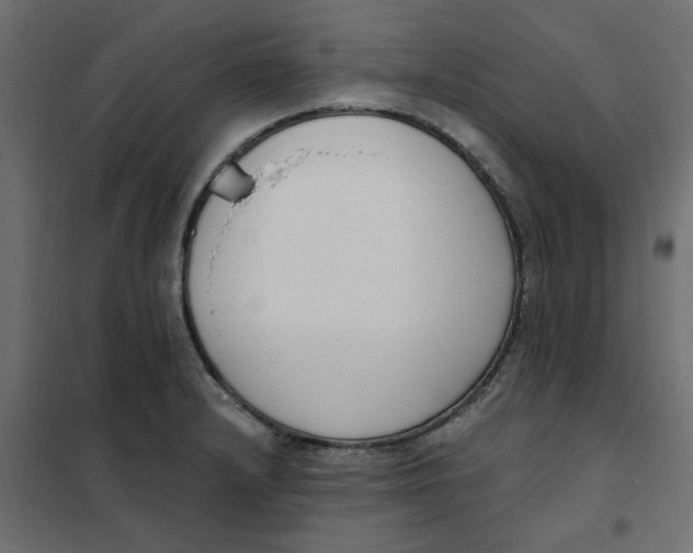 X0000102001232200808081652