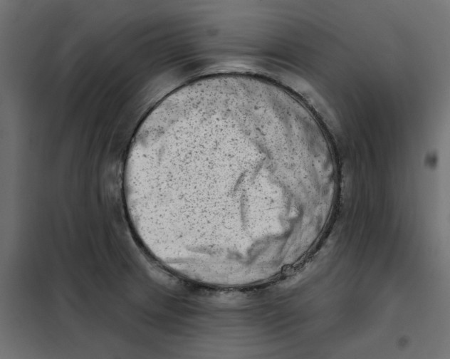 X0000102001233200808081652