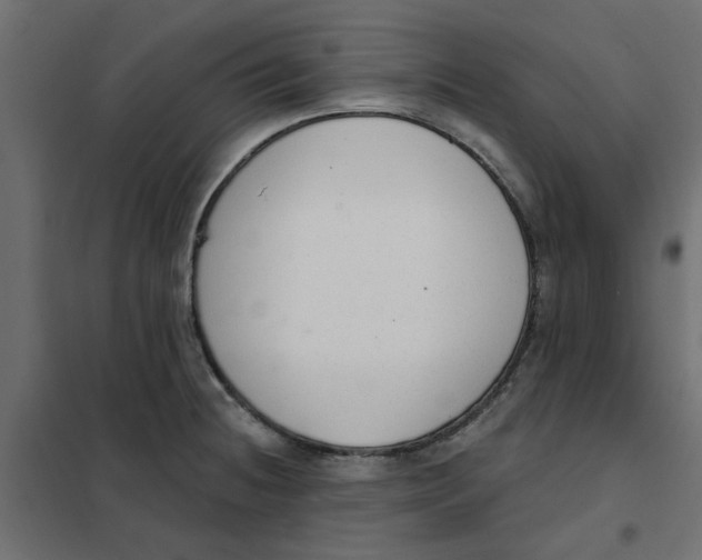 X0000102001236200808081652