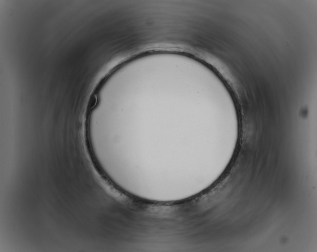 X0000102001237200808081652