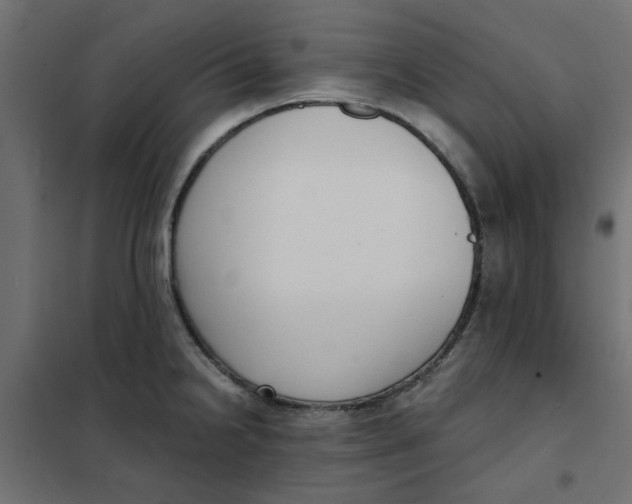 X0000102001238200808081652