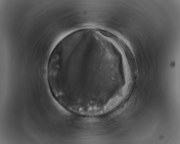 X0000102001239200808081652