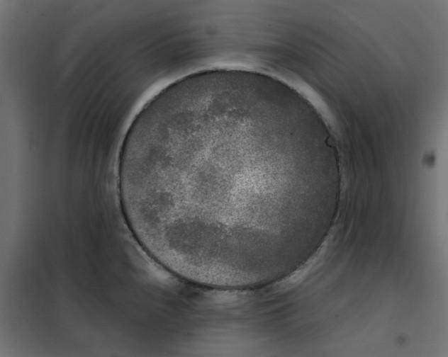 X0000102001240200808081652