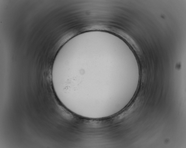 X0000102001241200808081652